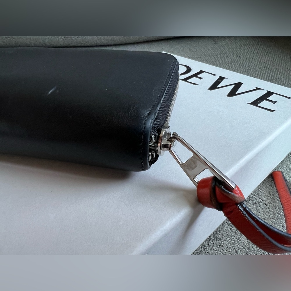 Loewe Rainbow Collection Zippy Wallet - Picture 8 of 17